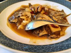 -新吉士·上海菜(浦东LCM置汇旭辉店)
