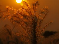 -盘龙城国家考古遗址公园