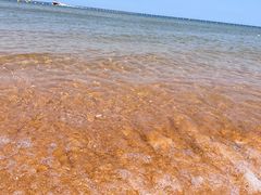 -威海国际海水浴场旅游区
