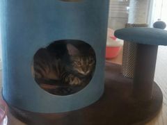 -Me Coffee下午茶艺术空间