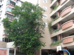 -广州市第十中学