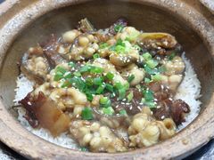 -红星光发煲仔饭(大石街店)