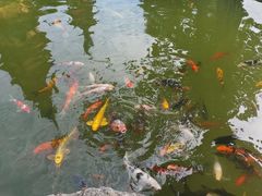 -吴作人艺术馆