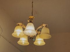 -知物癖(牛王庙店)