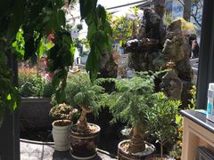 -海韵人家.海景花园经典云南菜(双廊店)