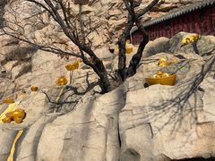 -青岩寺风景区