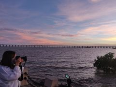 -宝安西湾红树林湿地公园