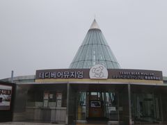 -济州岛泰迪熊博物馆
