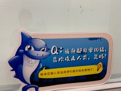 -斯坦星球AI编程·机器人科创·科学实验·信奥·思维·STEM·积木拼搭·竞赛考级(浦东联洋广场大拇指龙阳御桥中心)