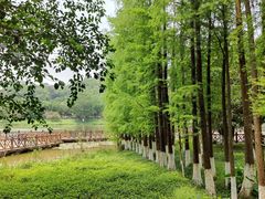 -番禺大夫山森林公园