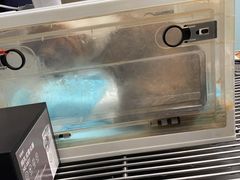 -关爱动物医院·心脏·中兽医·异宠(金牛路分院)