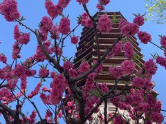 -玲珑塔公园