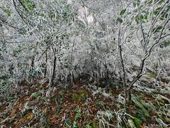 -梧桐山风景名胜区