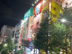-秋叶原电器街
