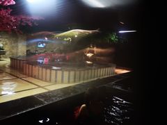 -金水鹤温泉国际酒店