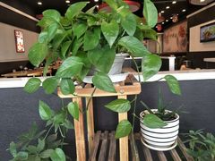 -李先生牛肉面大王(莱芜信誉楼店)