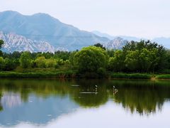 -翠湖国家城市湿地公园