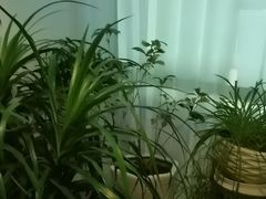 -逸栈养生SPA(望京店)