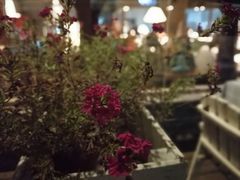 -Local泰莲庭(虹鳟鱼店)