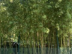 -宣武艺园