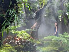 -Chom Cafe and Restaurant