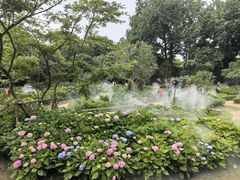 -上海共青森林公园