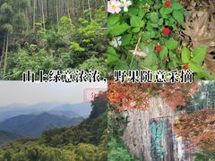 -莫干山风景区