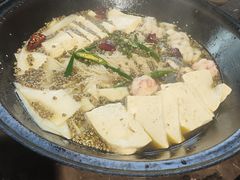 -肥鱼屯活鱼锅(惠工街店)