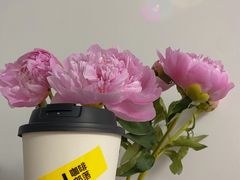 -blend咖啡部落(车公庙店)