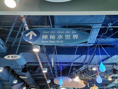 -中国宋庆龄青少年科技文化交流中心