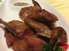 -鱼翅楼·津派砂锅鱼翅(水上公园店)