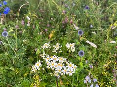 -白草畔自然风景区