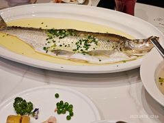 -海鸿荟餐饮(中山北路店)