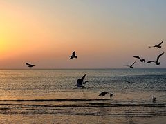 -威海国际海水浴场旅游区