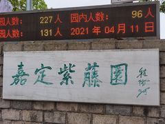 -嘉定紫藤园
