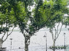 -青竺·青竹茶舍(断桥店)