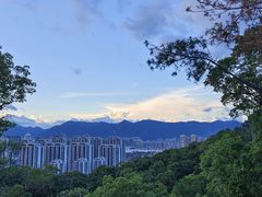 -金鸡山公园