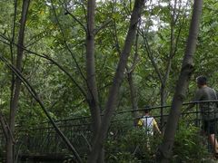 -云岫谷自然风景区