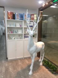 -时间海科学美容