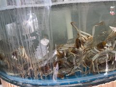 -仙螺岛海鲜自助餐厅(总店)
