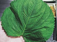 -盛江山自助料理(奥莱锦辉购物广场店)