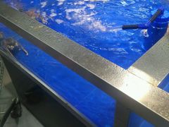 -北国超市(益元店)