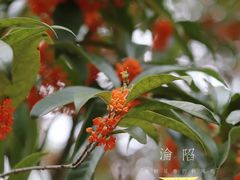 -杭州少年儿童公园