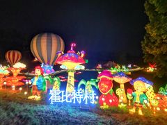 -大塘金香草谷