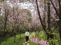 -南山植物园