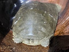 -南山民肴·乡土徽菜(豪辰俪景店)