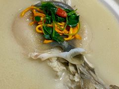 养颜白汁河豚-肆月河豚·新淮扬(金融街店)