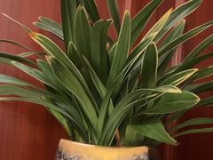 -西湖春天(中州店)