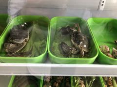-蚝专家
