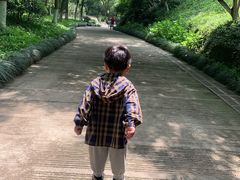 -杭州少年儿童公园